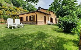 Il Vigneto